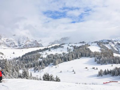 110FC1A3873C6EE4849E0F284859FEEC