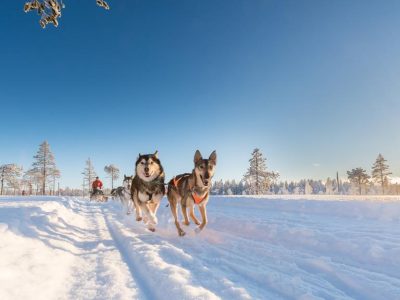 156BC048B8CB1F129F8542712C2ECB90