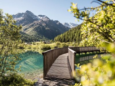 2F11F8FF7D3F62BC98A897B0F403EF1E