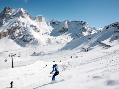 848A423BA87529B369D2851A1B84A288