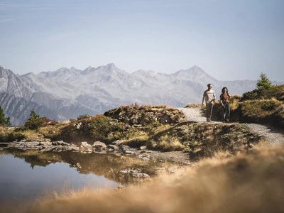 89396CCC94E03671231E8115439267D1