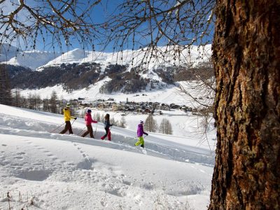 BF7D13C19623C2A615738A5EC385503A