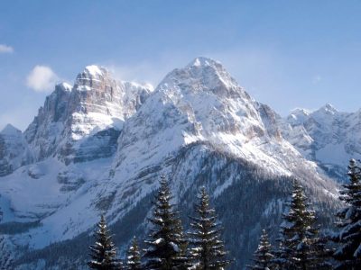 F366D7CCEE13496D2BA03C570C926366